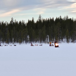 finnland rundreise 2025_68